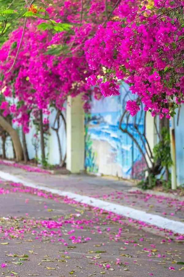 Nha Nghi 139 Bed and Breakfast Vung Tau